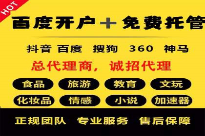 行业案例研究：SEM竞价托管的策略与挑战